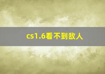 cs1.6看不到敌人