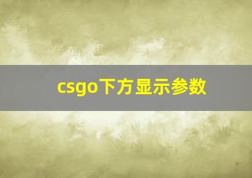 csgo下方显示参数