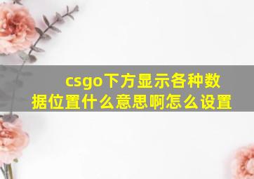 csgo下方显示各种数据位置什么意思啊怎么设置