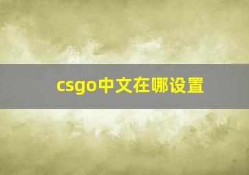 csgo中文在哪设置