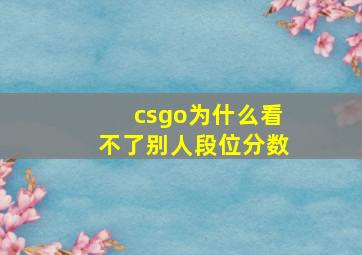 csgo为什么看不了别人段位分数