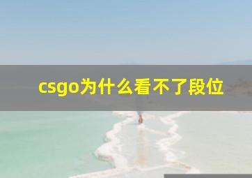 csgo为什么看不了段位