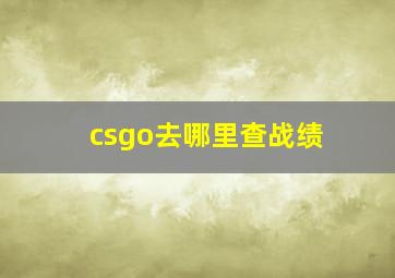 csgo去哪里查战绩