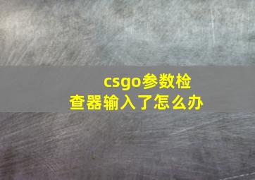 csgo参数检查器输入了怎么办