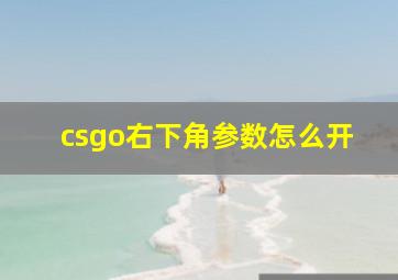 csgo右下角参数怎么开