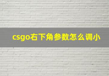 csgo右下角参数怎么调小