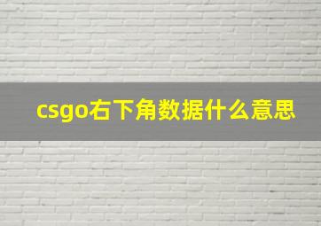 csgo右下角数据什么意思