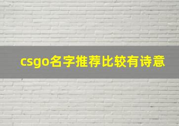 csgo名字推荐比较有诗意