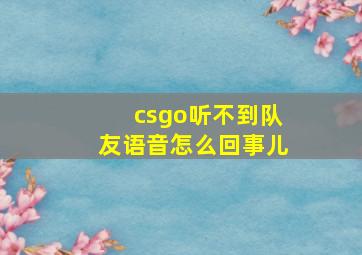 csgo听不到队友语音怎么回事儿