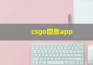 csgo回放app