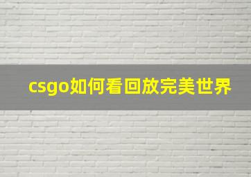 csgo如何看回放完美世界