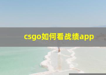 csgo如何看战绩app