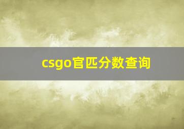 csgo官匹分数查询