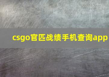 csgo官匹战绩手机查询app