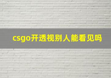 csgo开透视别人能看见吗