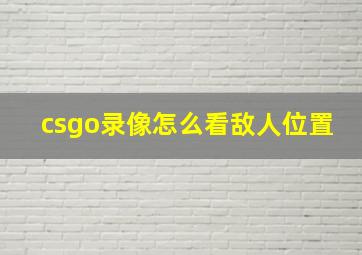 csgo录像怎么看敌人位置