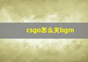 csgo怎么关bgm