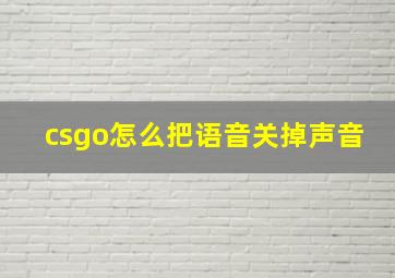 csgo怎么把语音关掉声音