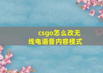 csgo怎么改无线电语音内容模式