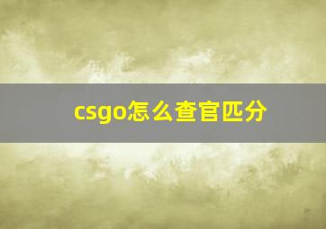 csgo怎么查官匹分