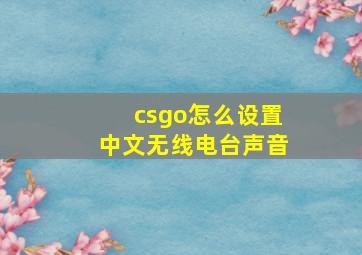 csgo怎么设置中文无线电台声音