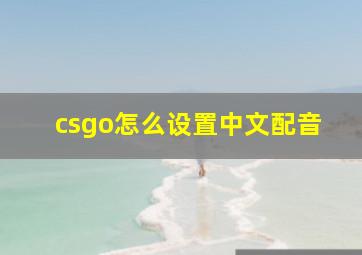 csgo怎么设置中文配音