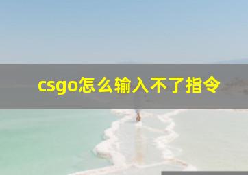 csgo怎么输入不了指令