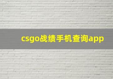 csgo战绩手机查询app