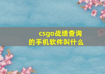 csgo战绩查询的手机软件叫什么