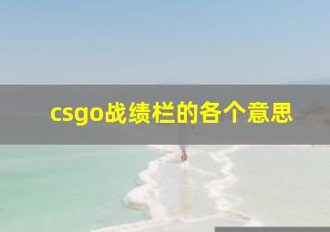 csgo战绩栏的各个意思