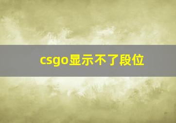 csgo显示不了段位