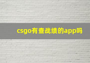 csgo有查战绩的app吗