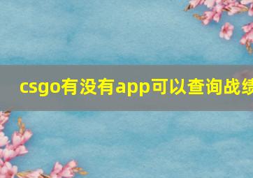 csgo有没有app可以查询战绩