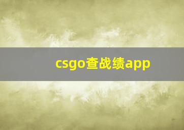 csgo查战绩app