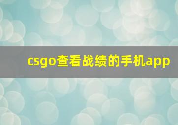 csgo查看战绩的手机app