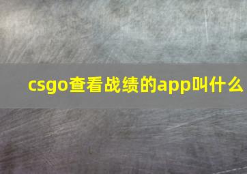 csgo查看战绩的app叫什么