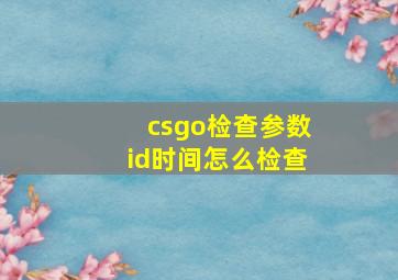 csgo检查参数id时间怎么检查