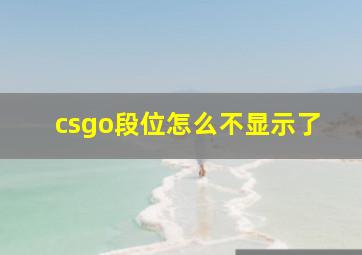 csgo段位怎么不显示了