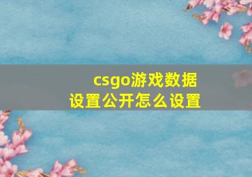 csgo游戏数据设置公开怎么设置