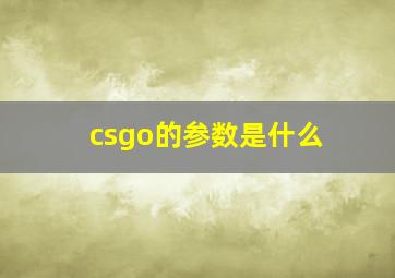 csgo的参数是什么