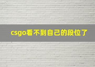 csgo看不到自己的段位了