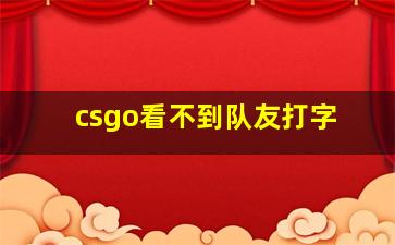 csgo看不到队友打字