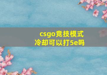 csgo竞技模式冷却可以打5e吗