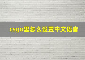 csgo里怎么设置中文语音