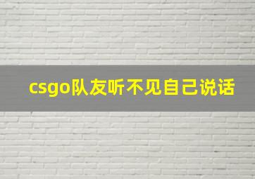 csgo队友听不见自己说话