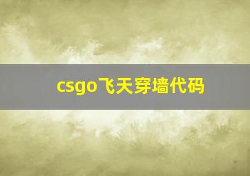 csgo飞天穿墙代码