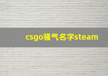 csgo骚气名字steam