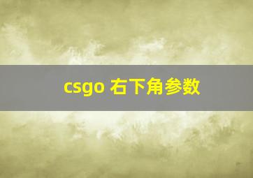 csgo 右下角参数