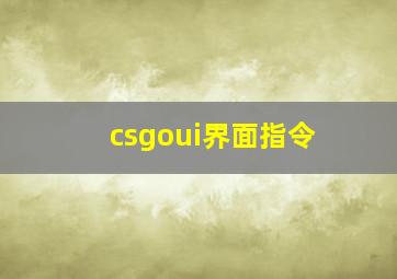 csgoui界面指令