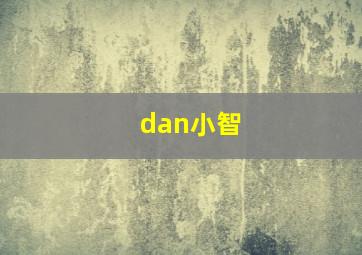 dan小智